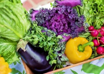 Vegetables to harvest on autumn