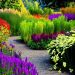Tips to maintain a flowers garden