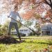 Winterizing your garden