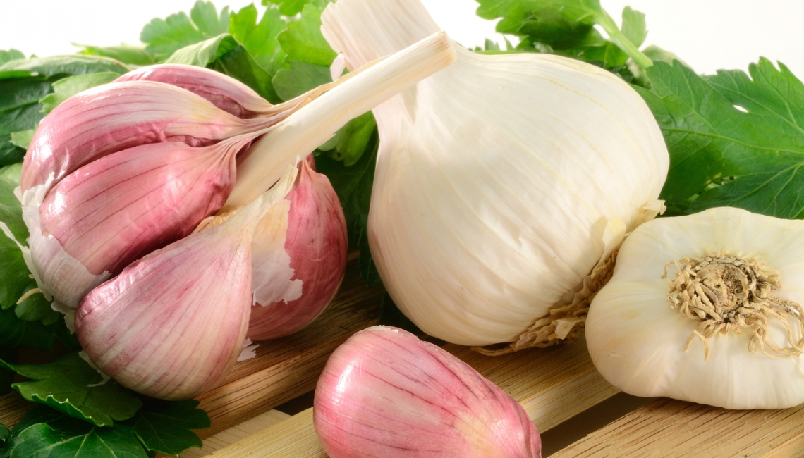 How to grow organic garlic