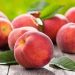 Learn how to grow peaches