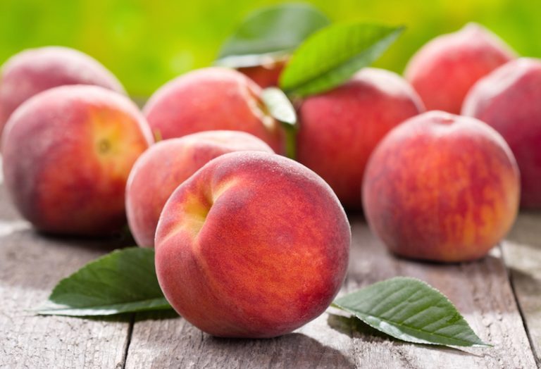 Learn how to grow peaches Gardensy