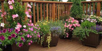 How to create amazing pots