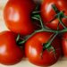 How to save and store tomato seeds