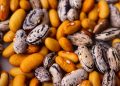 How to store your seeds