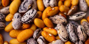 How to store your seeds