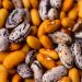 How to store your seeds