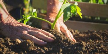 Great tips every gardener should know