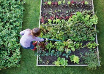 Choose the perfect spot for your garden