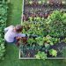 Choose the perfect spot for your garden